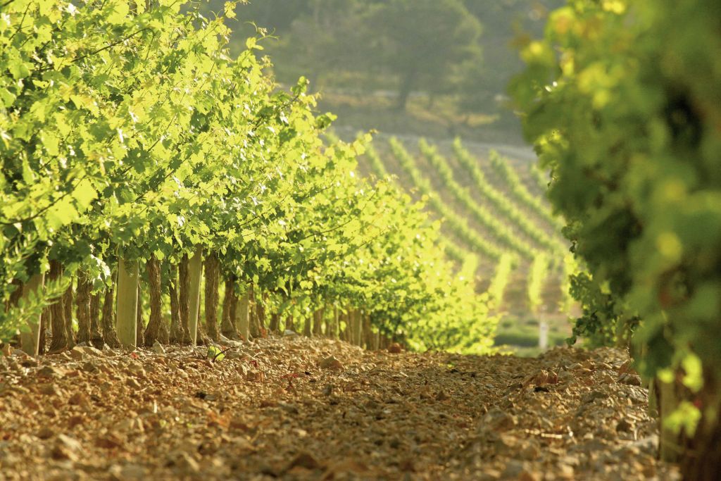 Bertrand Hospitalet 2