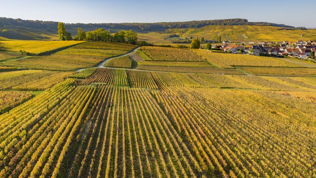 Chamery Sermier IIA17