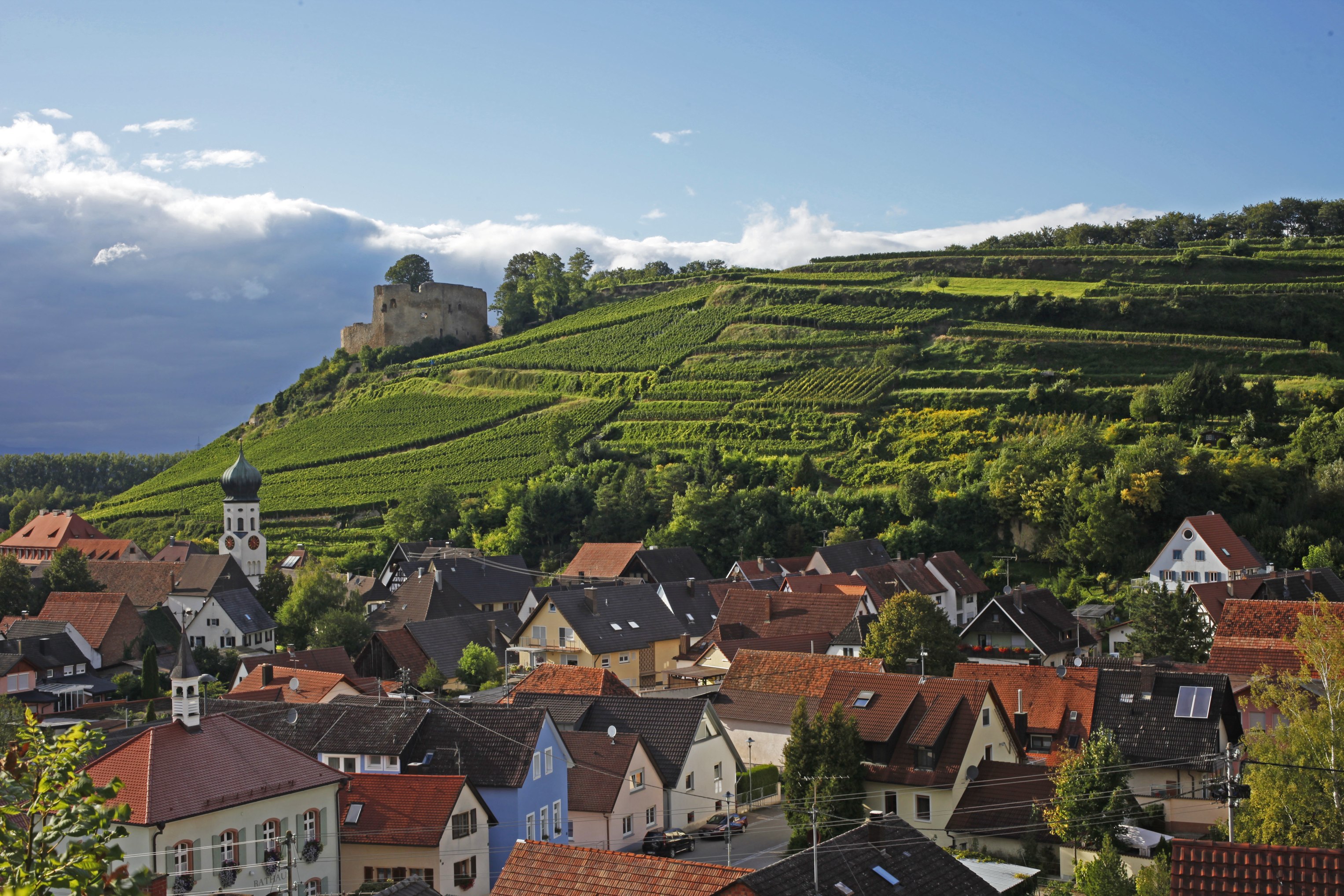 Schlossberg mit Hecklingen